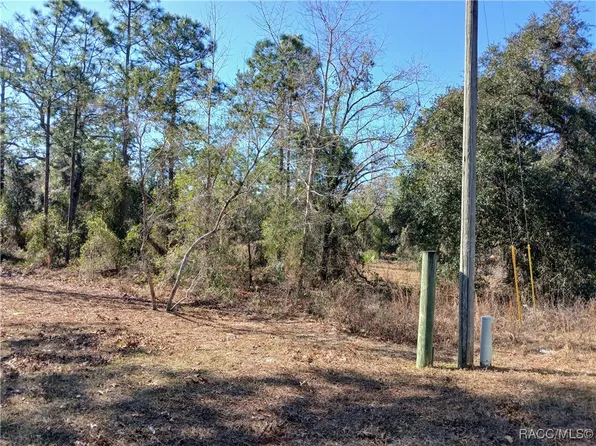 5490 W Mannis Ct, Homosassa, FL 34446