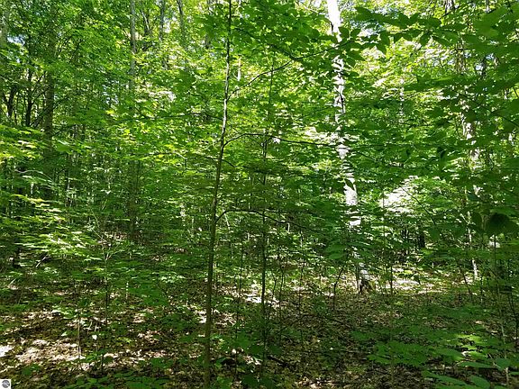 5th image of 0 Woodridge Acres