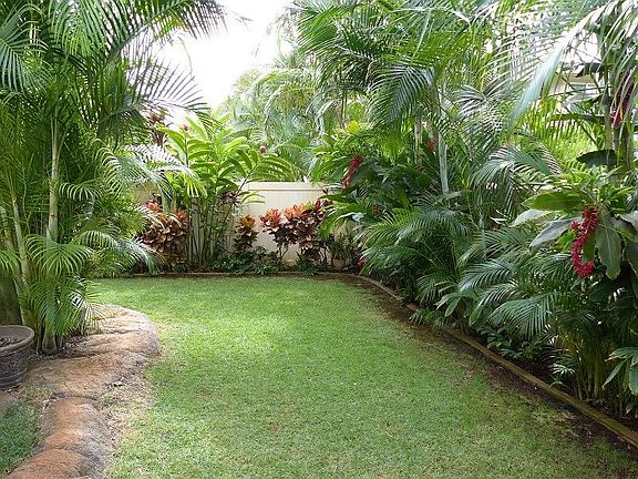 View of back yard from living room lanai