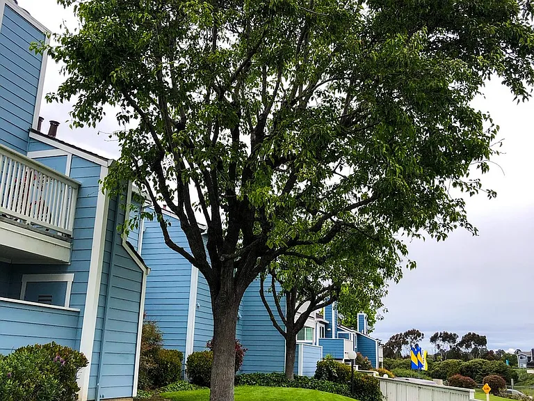 Mariner Village — Photo 9