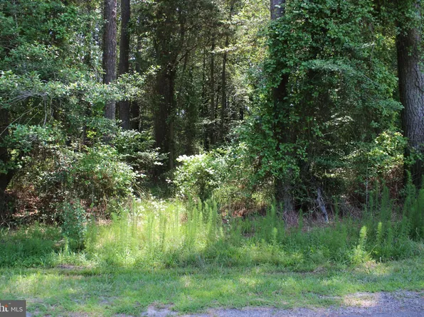 1075 Amidship Dr, Greenbackville, VA 23356