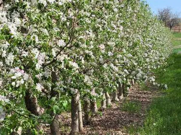 Nna Granger Liberty Rd, Granger, WA 98932