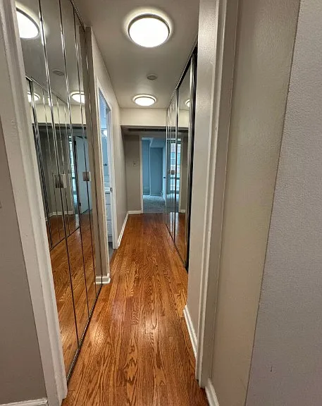 Hallway to bath and bedrooms. Lots of closet space, with Elfa systems