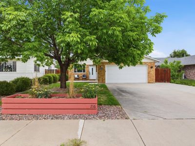 216 Chestnut St, Windsor, CO, 80550