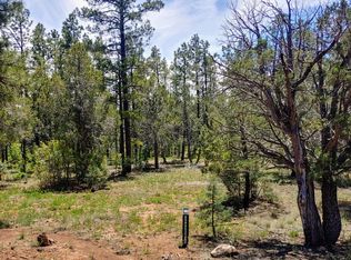 4401 W Acer Ln, Show Low, AZ 85901