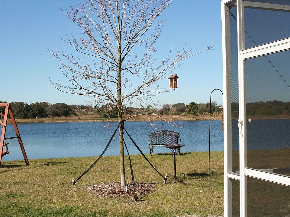 Back Yard Lake - Gulf Of Mixico past the tree line
