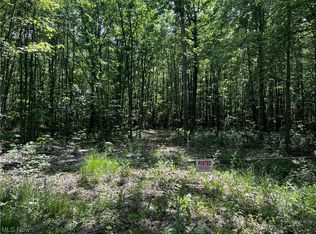 0 Hewitt Gifford Rd SW, Newton Falls, OH 44444