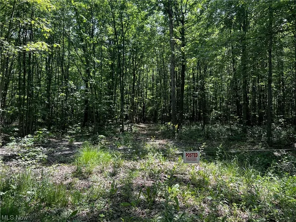 0 Hewitt Gifford Rd SW, Newton Falls, OH 44444