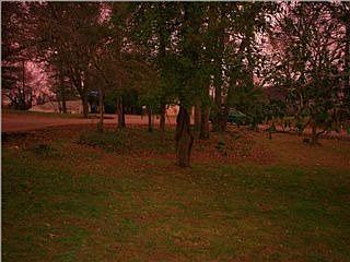 1st image of 202 Bales Ave