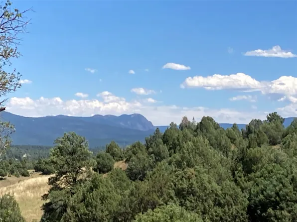 Willow Way #D, Chama, NM 87520