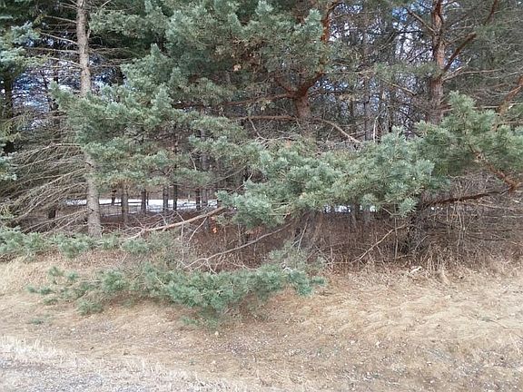2nd image of 12602 316th St