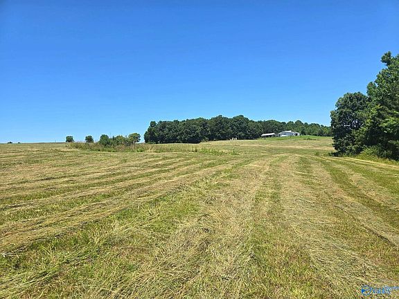 2nd image of 1025 County Road 1209
