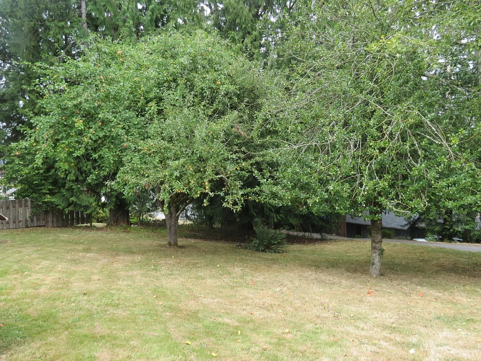 1 bed, 496 sqft, $1,295 — Photo 3