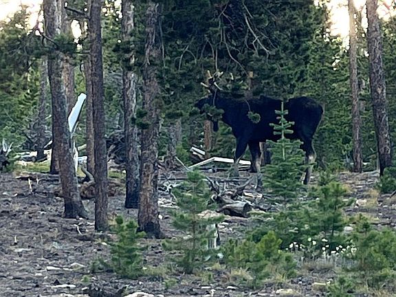 5th image of 1482 Shoshoni Dr