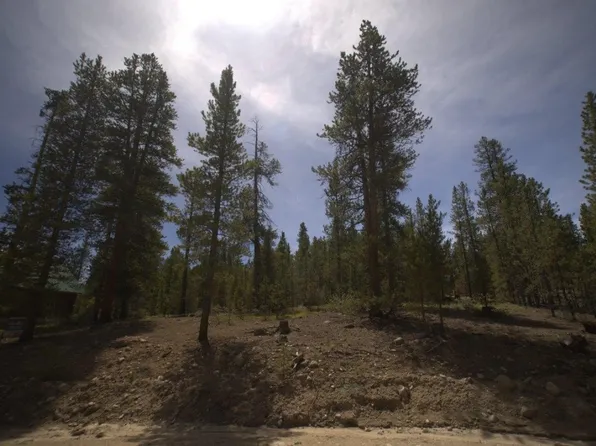 142 Birch Dr, Twin Lakes, CO 81251