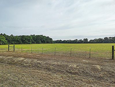 0 Saint Ave, Ashford, AL, 36312