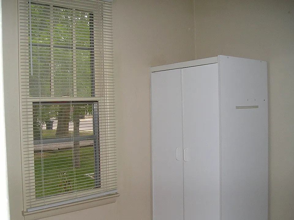 Bonus room or Office