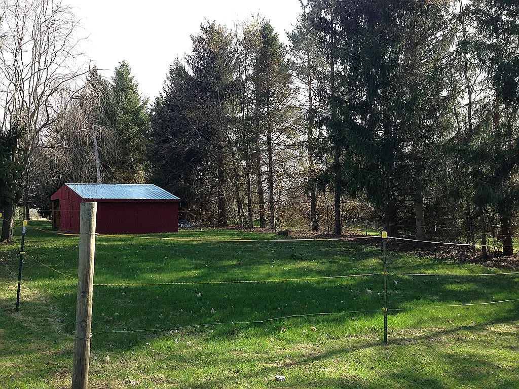 Property photo 5