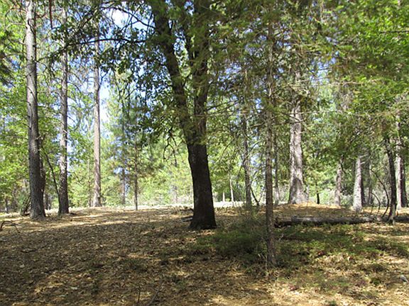 3rd image of Fiske Rd