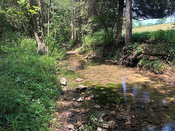 4th image of 4198 Elk Creek Dr