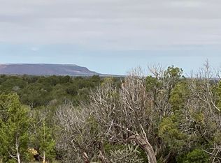 10 Bull Canyon Loop, Newkirk, NM 88431