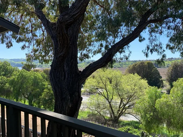900 Cambridge Dr #74 — Photo 8