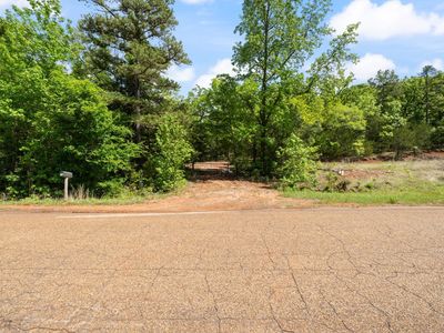 County Road 4915, Ben Wheeler, TX, 75754