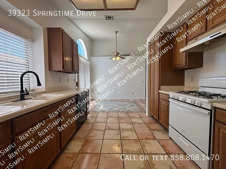 39323 Springtime Dr — Photo 8