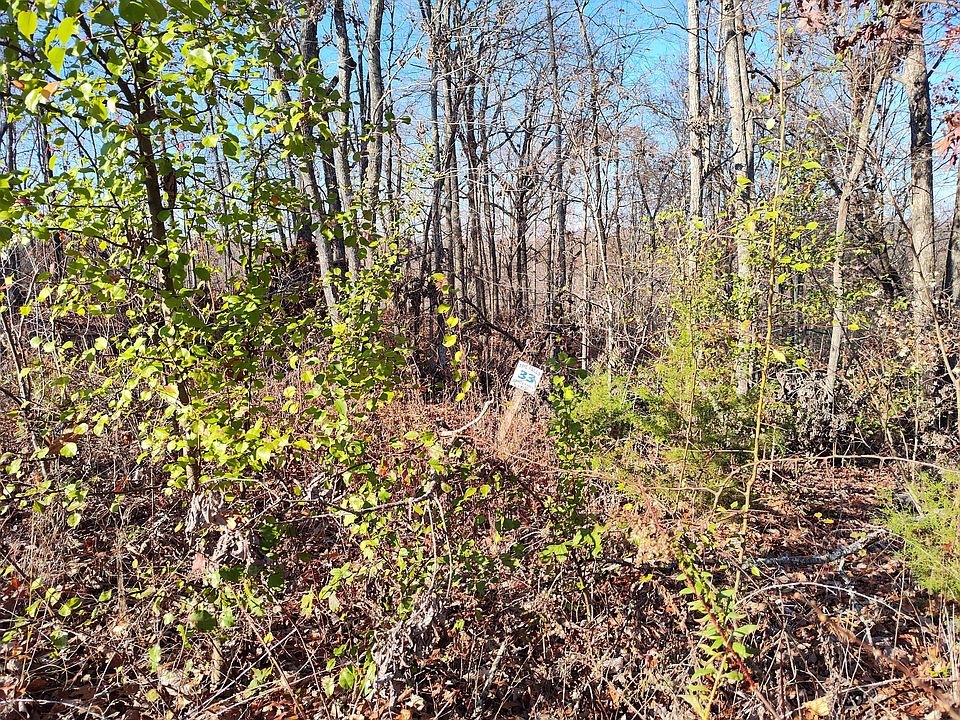 2nd image of 33 Shiloh Ln Lot 33