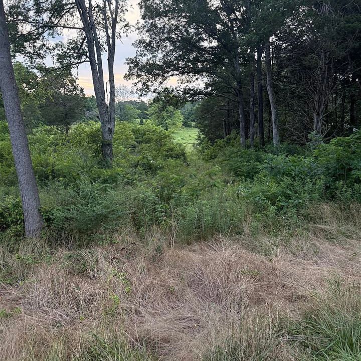 2nd image of LOT 5 Pig Rd