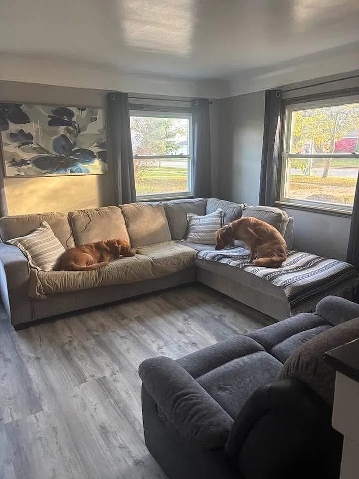 3 bed, 1382 sqft, $2,250 — Photo 3