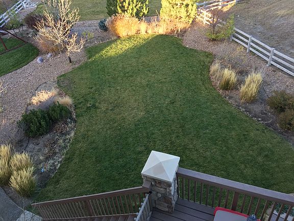 Huge back yard