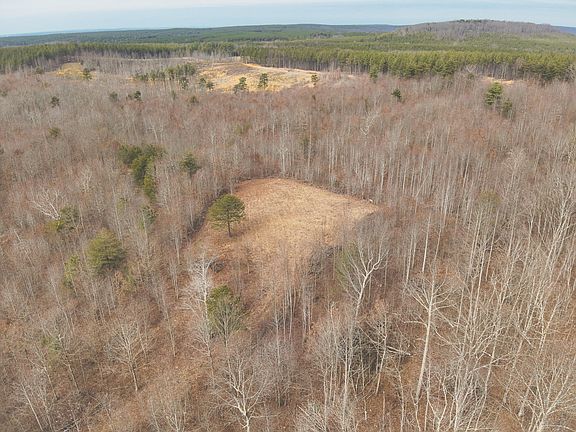 5th image of 1555 Palmer Firetower Rd