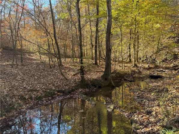 286 Carnes Rd SW, Cartersville, GA 30120