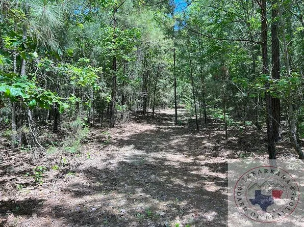 County Road 2345, Linden, TX 75563