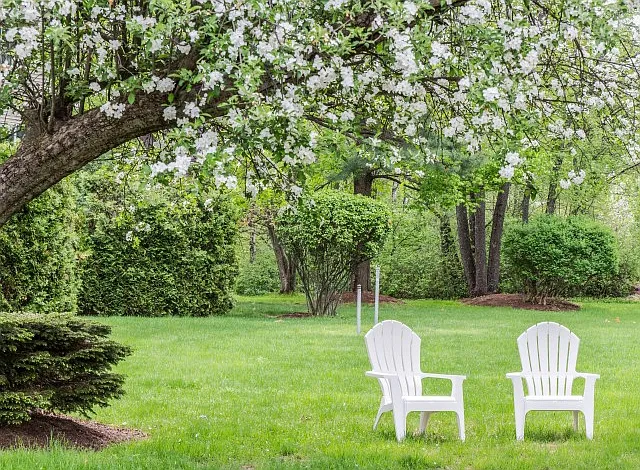 Outdoor Seating Area