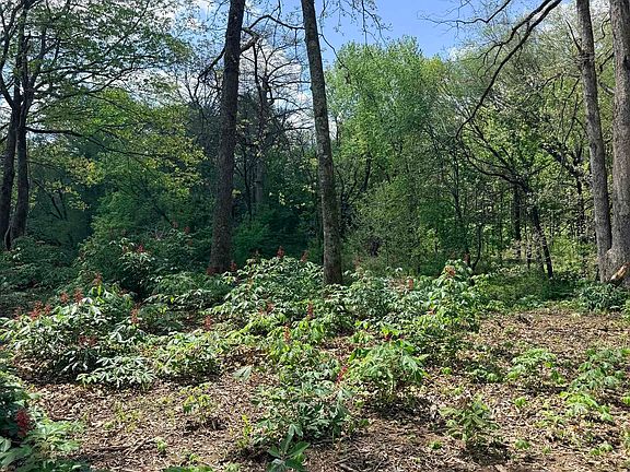 4th image of 0 Sunshine Ln Lot 19A