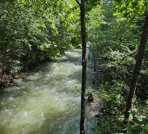 2nd image of 2784 Fiery Gizzard Rd