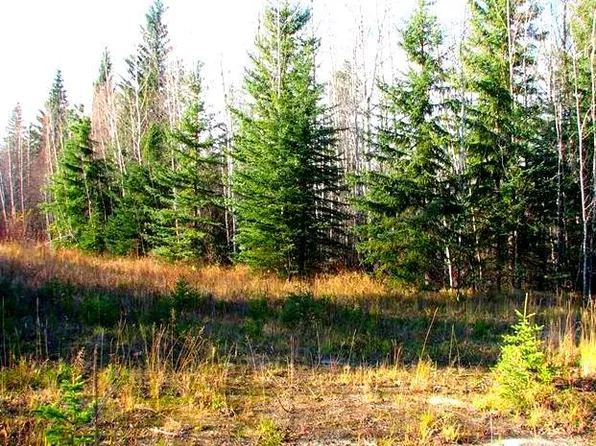 4-OLD Mission Rd #Lac, Lac La Biche County, AB T0A 2C2