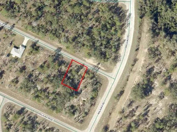 Malauka Dr Lot 26, Ocklawaha, FL 32179