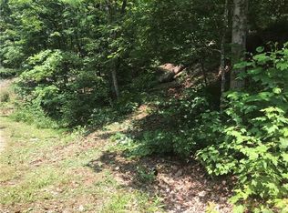 0 N Poplar Dr #233, Lake Lure, NC 28746