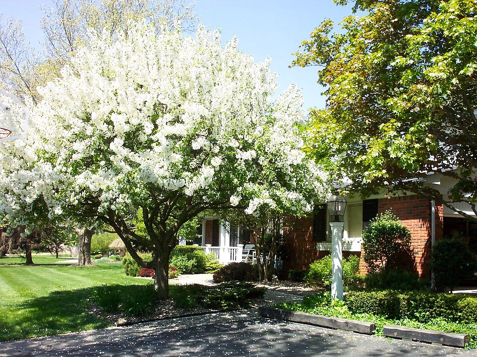 2nd image of 1100 Kingsview Ave