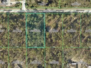 9466 ZEBRAFINCH AVENUE LOT 5, WEEKI WACHEE, FL 34614