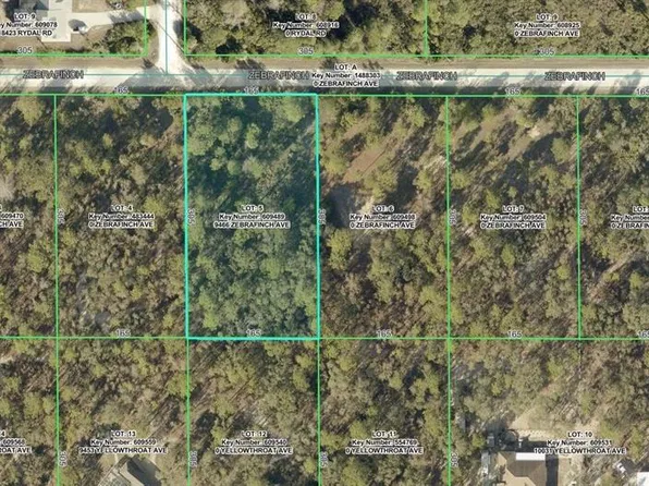 9466 ZEBRAFINCH AVENUE LOT 5, WEEKI WACHEE, FL 34614