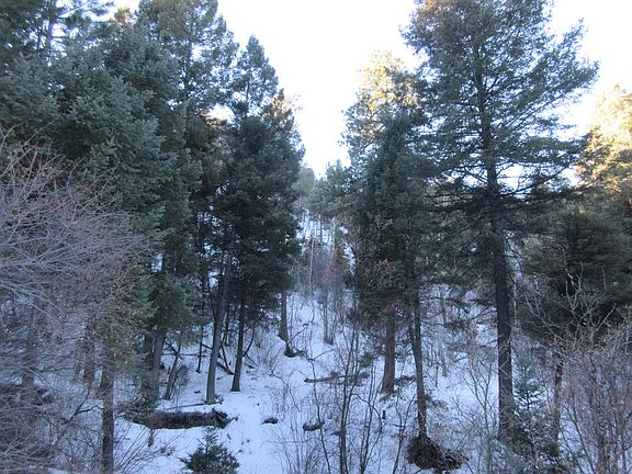SW view from Spruce Cr Cir