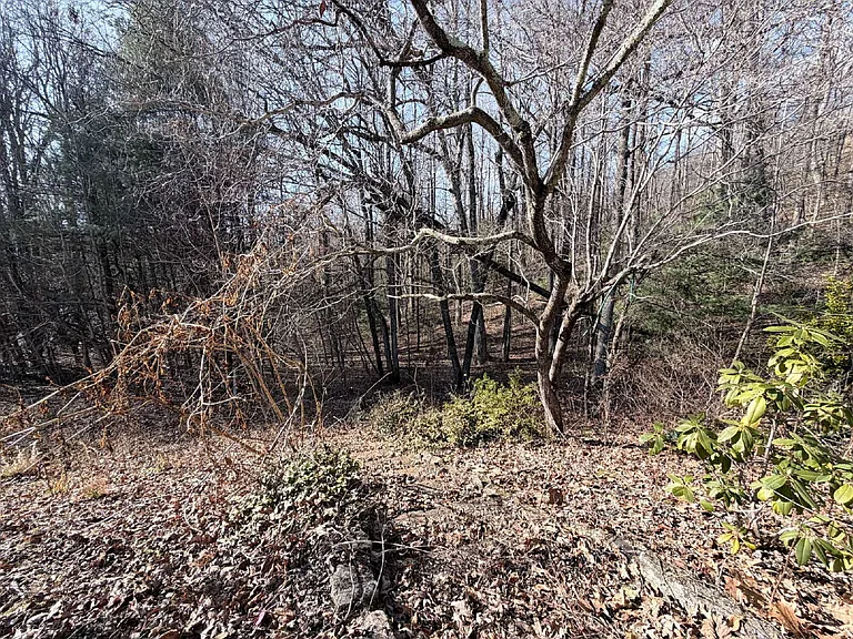 989 Mine Gap Rd #2 — Photo 12