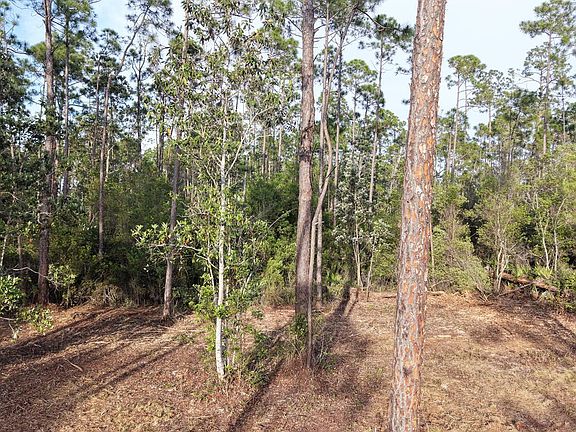 2nd image of 917 Watermark Way