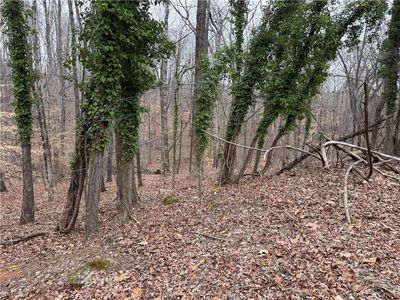 3629 Looper Cir #53, Gainesville, GA, 30506