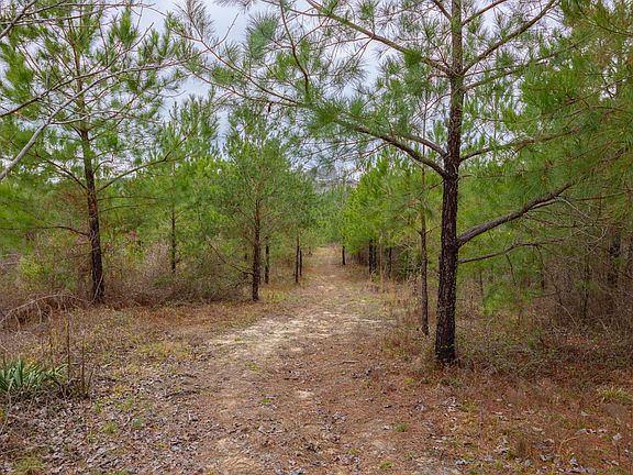 4th image of 0 County Road 405