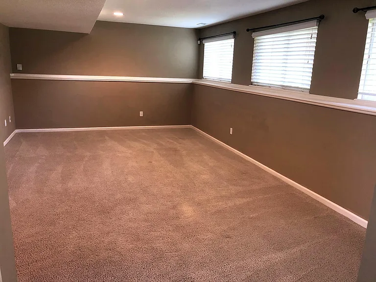 Lower level Family Room